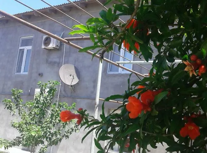 Apartment Near Baku Airport