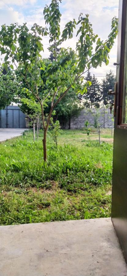 Near Airport Apartment