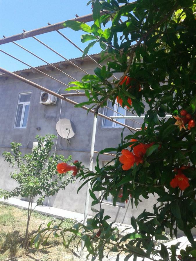 Near Airport Apartment Baku